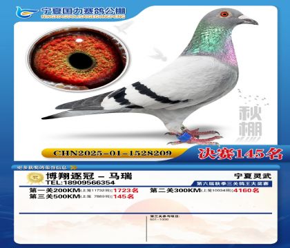 国力秋棚决赛145名