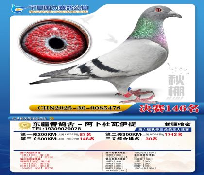 国力秋棚决赛146名