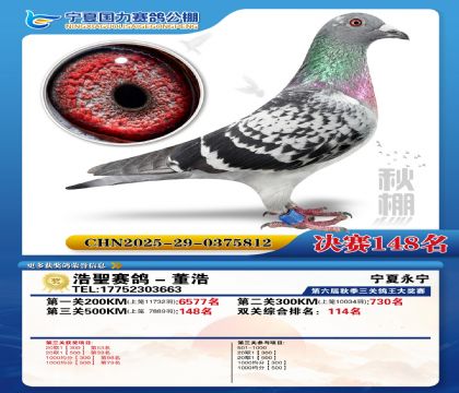 国力秋棚决赛148名