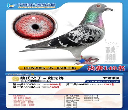 国力秋棚决赛149名