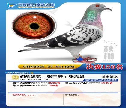 国力秋棚决赛150名