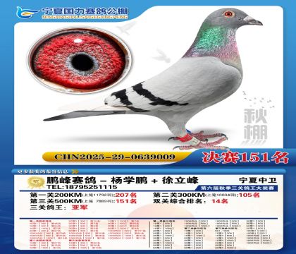 国力秋棚决赛151名