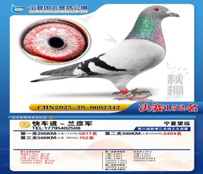 国力秋棚决赛152名