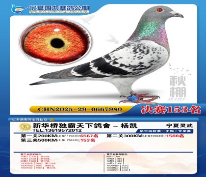 国力秋棚决赛153名