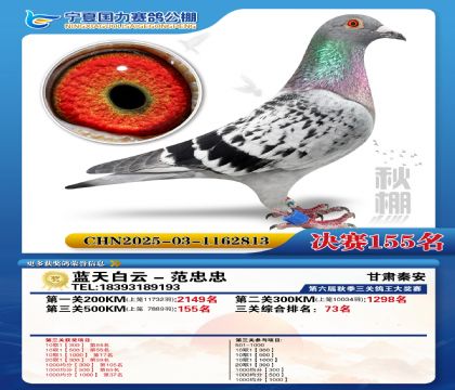 国力秋棚决赛155名