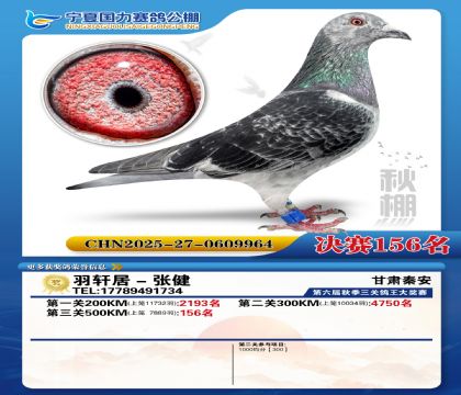 国力秋棚决赛156名