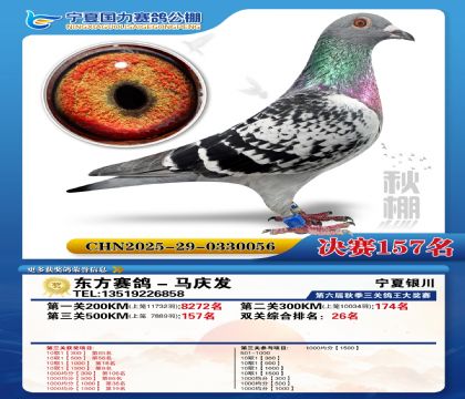 国力秋棚决赛157名