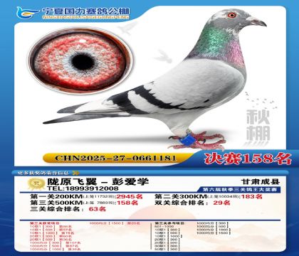 国力秋棚决赛158名