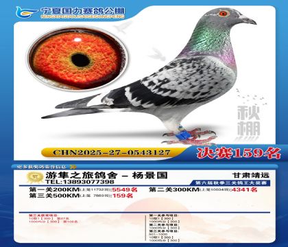 国力秋棚决赛159名