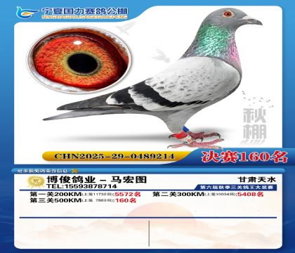 国力秋棚决赛160名