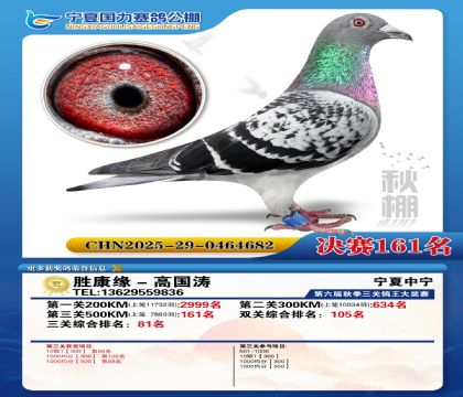 国力秋棚决赛161名