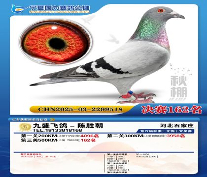 国力秋棚决赛162名