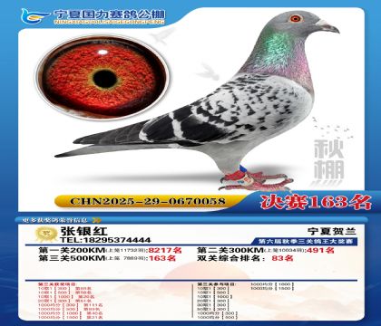 国力秋棚决赛163名