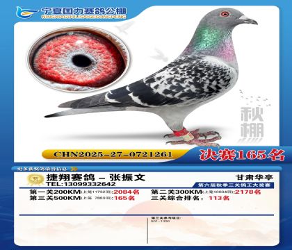 国力秋棚决赛165名