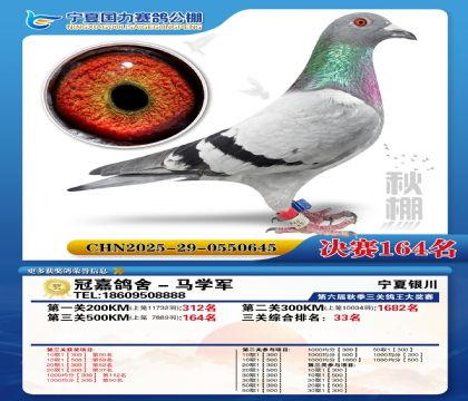 国力秋棚决赛164名