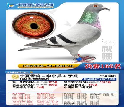 国力秋棚决赛166名