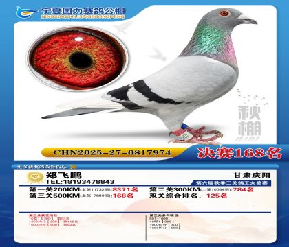 国力秋棚决赛168名