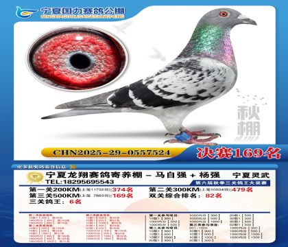 国力秋棚决赛169名