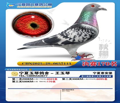 国力秋棚决赛170名