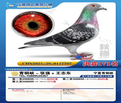 国力秋棚决赛171名