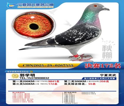 国力秋棚决赛172名