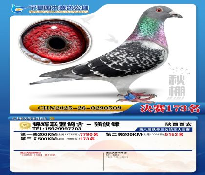 国力秋棚决赛173名