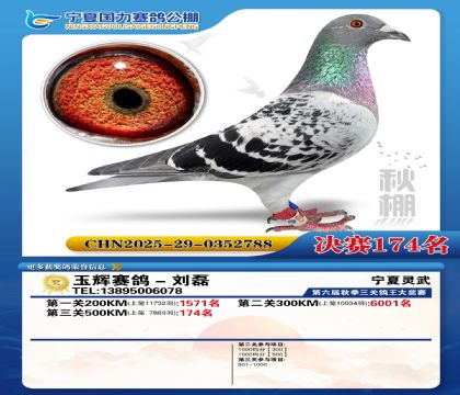 国力秋棚决赛174名