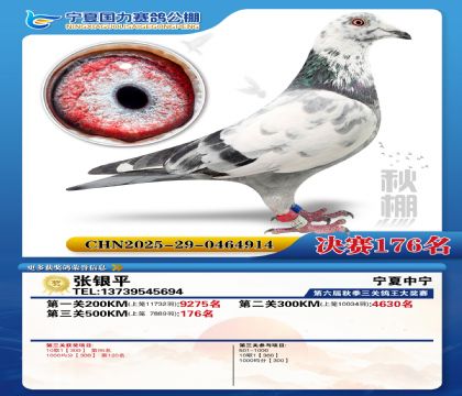 国力秋棚决赛176名