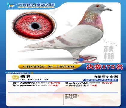 国力秋棚决赛175名