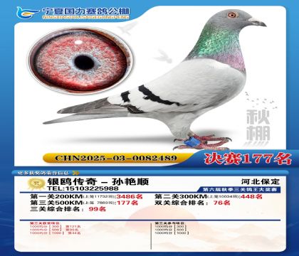 国力秋棚决赛177名