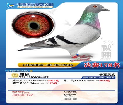 国力秋棚决赛178名