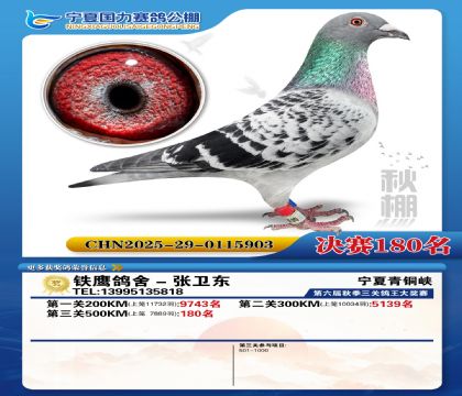 国力秋棚决赛180名