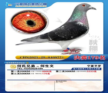 国力秋棚决赛179名