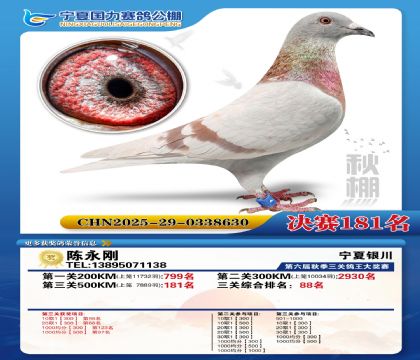 国力秋棚决赛181名