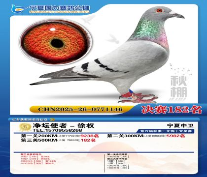 国力秋棚决赛182名