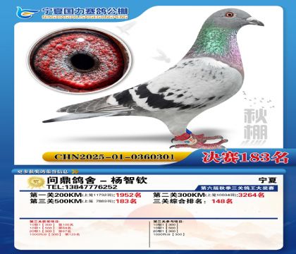 国力秋棚决赛183名