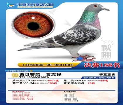 国力秋棚决赛186名