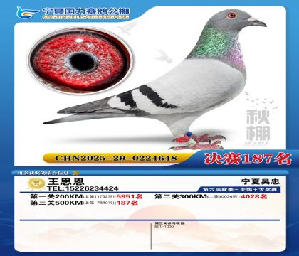 国力秋棚决赛187名