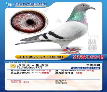 国力秋棚决赛188名