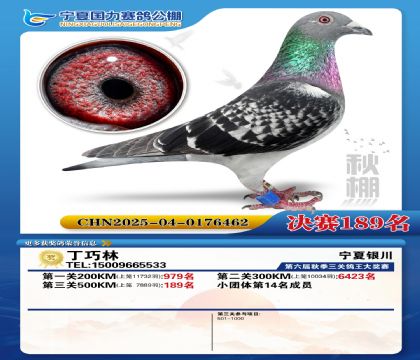 国力秋棚决赛189名