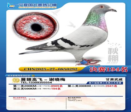 国力秋棚决赛194名