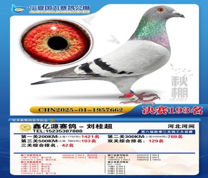 国力秋棚决赛193名