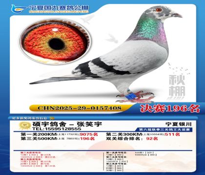 国力秋棚决赛196名