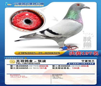 国力秋棚决赛197名