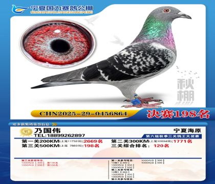 国力秋棚决赛198名