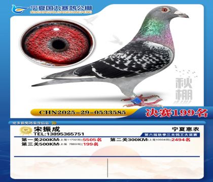 国力秋棚决赛199名