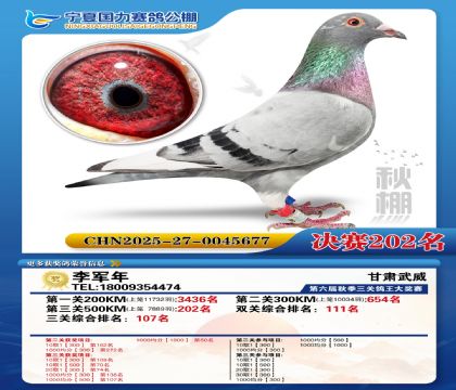 国力秋棚决赛202名