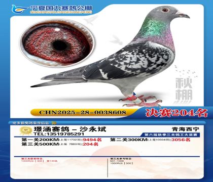 国力秋棚决赛204名