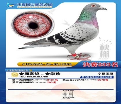 国力秋棚决赛203名