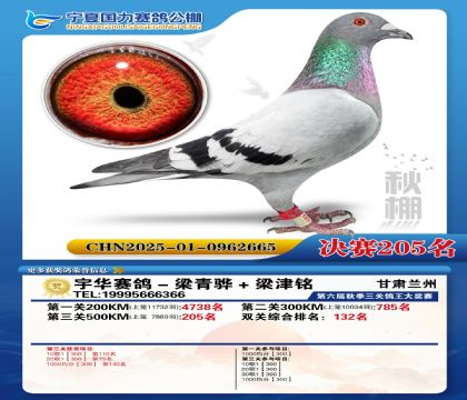 国力秋棚决赛205名